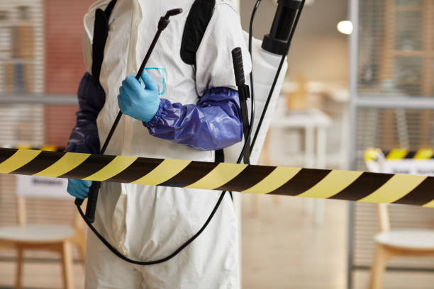 Professional Sewage Cleanup technician working in Linden, CA